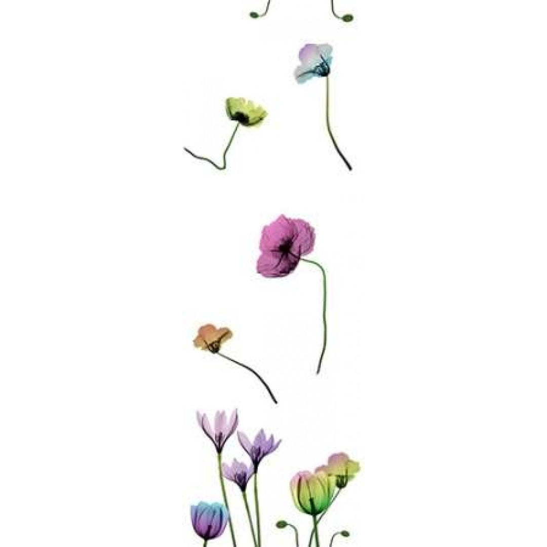 Floral Rainbow Pattern Poster Print by Albert Koetsier Image 2