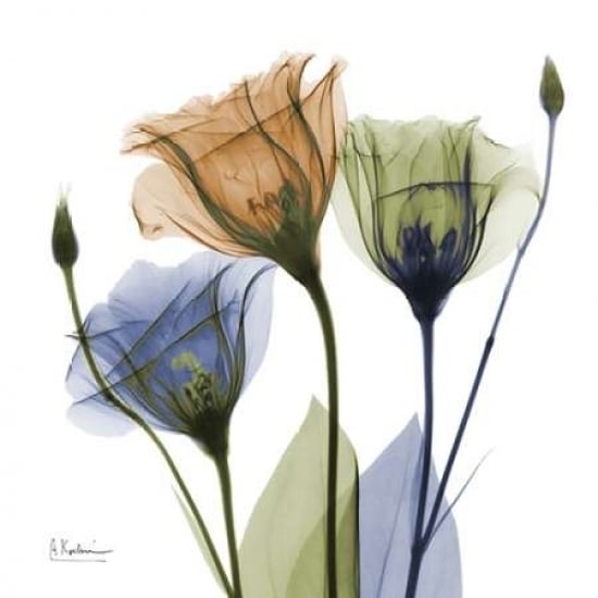 Gentian Buddies Poster Print by Albert Koetsier Image 2