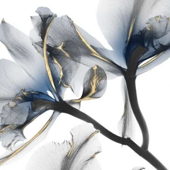 Indigo Luster Cyclamen 2 Poster Print by Albert Koetsier Image 1