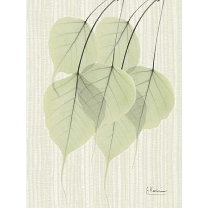 Bo Tree E158 Poster Print by Albert Koetsier Image 1