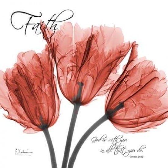 Royal Red Tulip -Faith Poster Print by Albert Koetsier Image 2