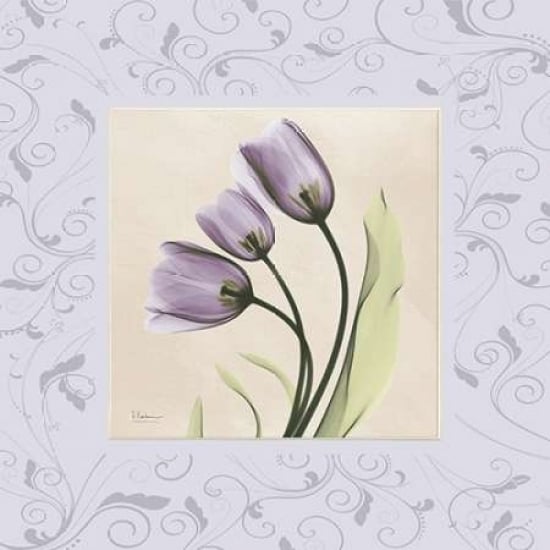 Purple Tulips on Purple Damask Poster Print by Albert Koetsier Image 1