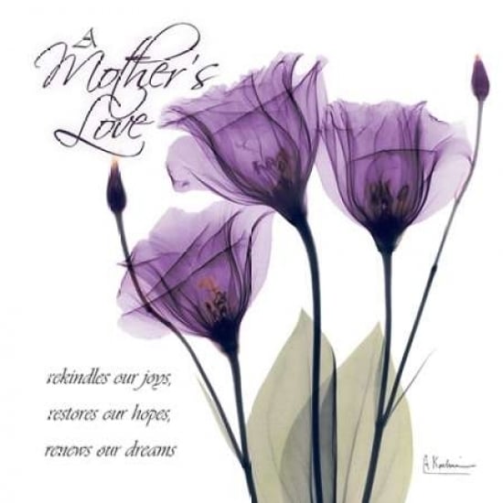 Mothers - Purple Tulips Poster Print by Albert Koetsier Image 1