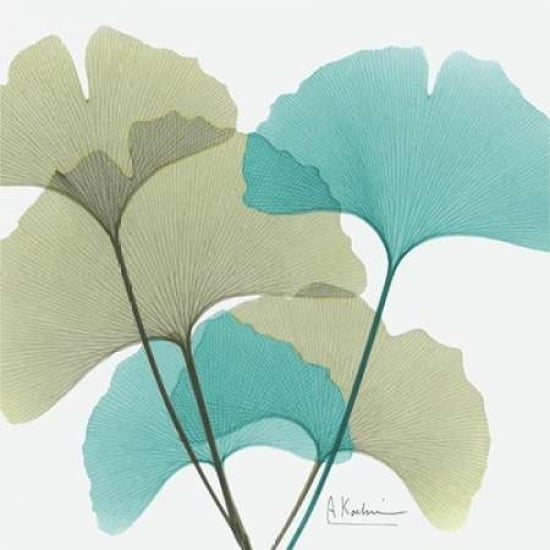 Gingko 1 Poster Print by Albert Koetsier Image 1