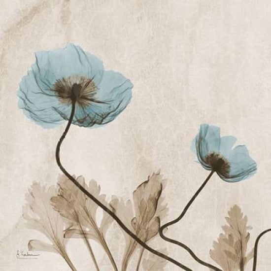 Poppies L167 Poster Print by Albert Koetsier Image 1