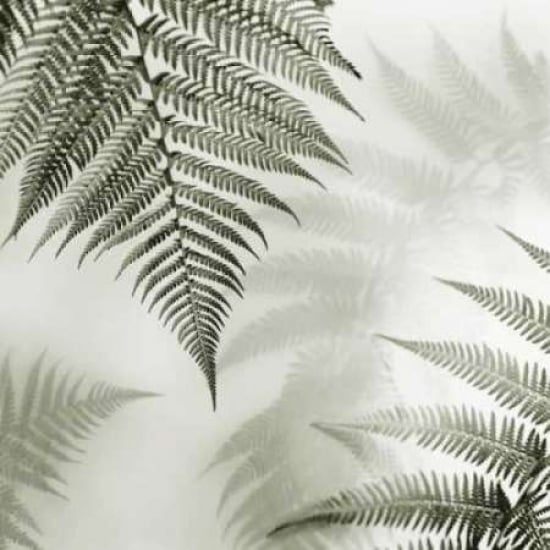 Ferns No. 1 Poster Print by Alan Blaustein Image 2