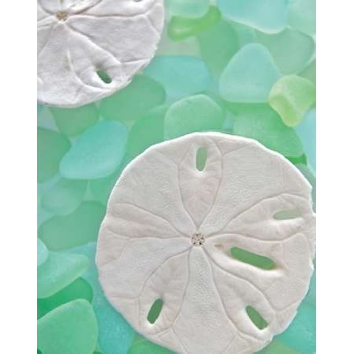 Seaglass 5 Poster Print by Alan Blaustein Image 1