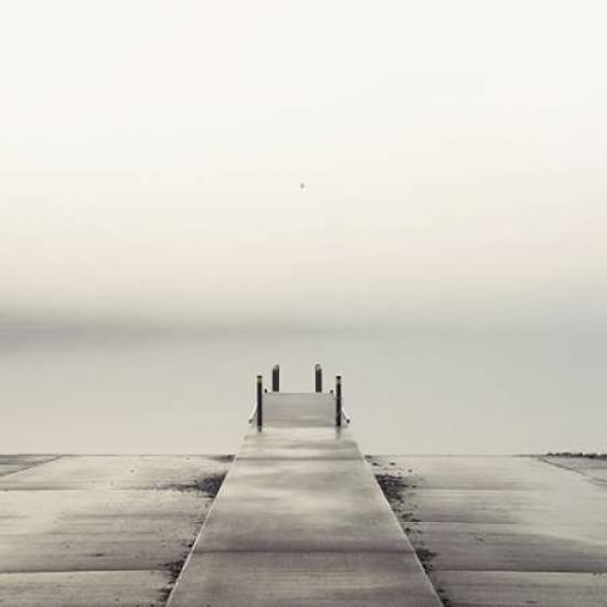 Pier and Seagull Poster Print by Nicholas Bell Image 1