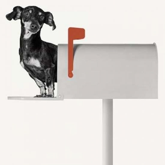 Youve Got Mail Poster Print by Jon Bertelli Image 1