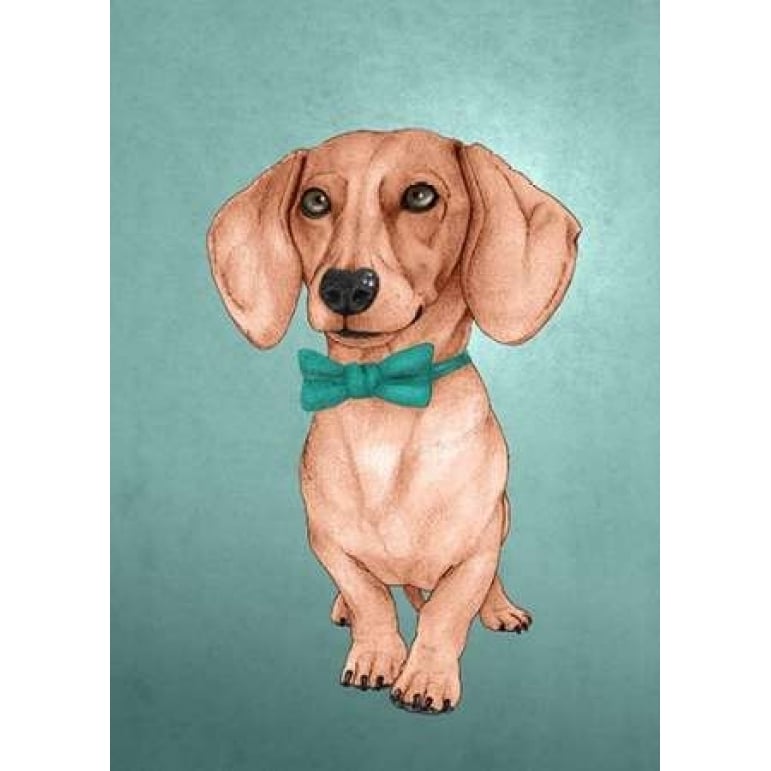 The Wiener Dog Poster Print by Barruf Image 2