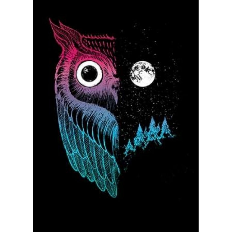 Night Owl Poster Print by Michael Buxton Image 2