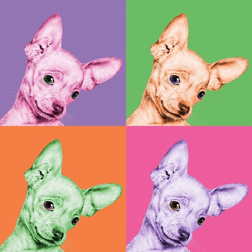 Sweet Chihuahua Pop Poster Print by Jon Bertelli Image 1