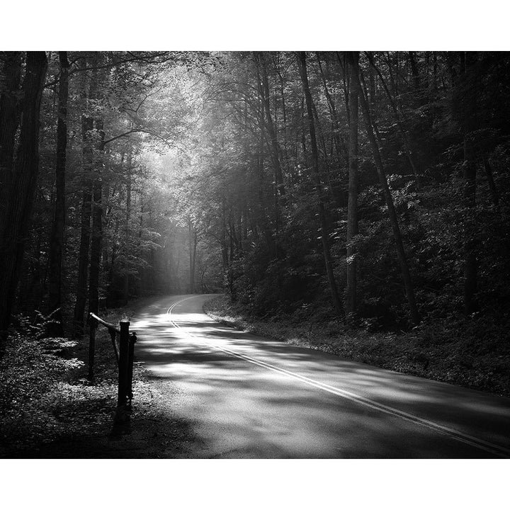 Tremont Road Smoky Mountains Poster Print by Nicholas Bell Image 1