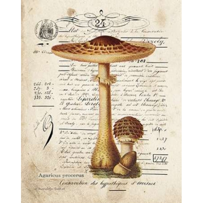 Mushroom I Poster Print by Gwendolyn Babbitt Image 2