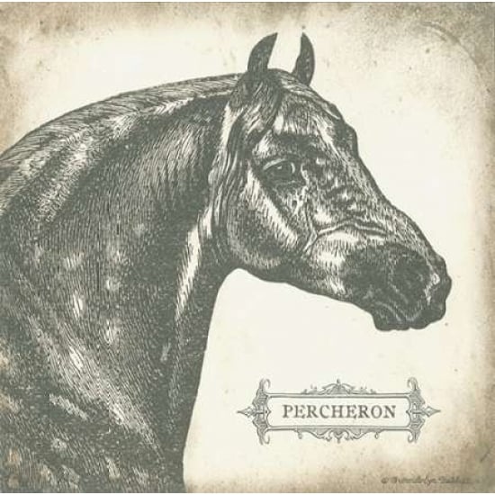 Percheron Poster Print by Gwendolyn Babbitt Image 1