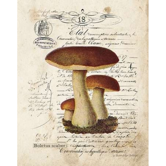 Mushroom II Poster Print by Gwendolyn Babbitt Image 1