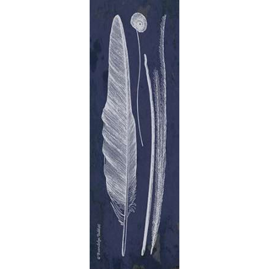 Indigo Feathers III Poster Print by Gwendolyn Babbitt Image 1