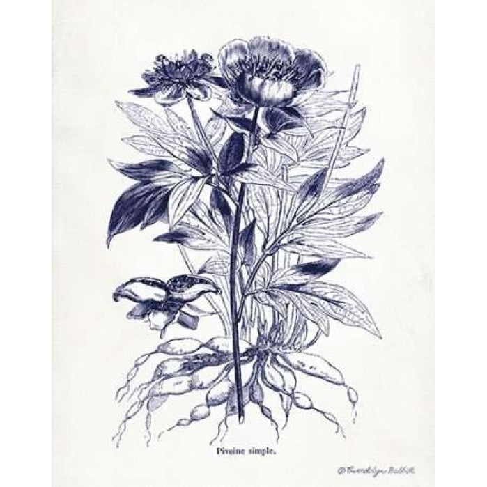 Indigo Botanical III Poster Print by Gwendolyn Babbitt Image 1