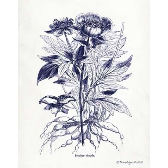 Indigo Botanical III Poster Print by Gwendolyn Babbitt Image 2