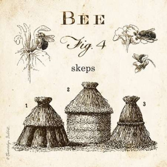 Bee Fig 4 Poster Print by Gwendolyn Babbitt Image 1