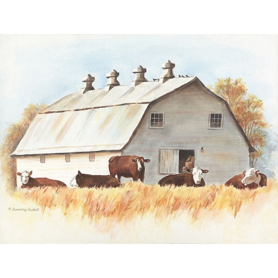 White Barn and Cattle Poster Print by Gwendolyn Babbitt Image 1