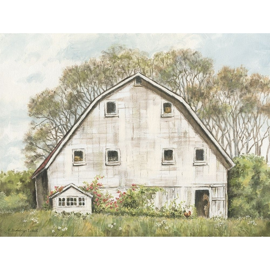 White Barn and Roses Poster Print by Gwendolyn Babbitt Image 1