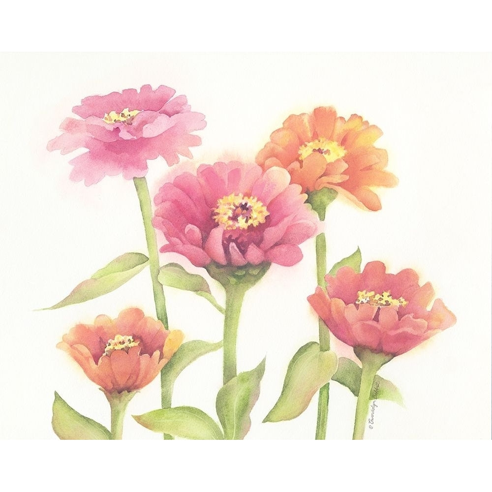 Happy Zinnias Poster Print by Gwendolyn Babbitt Image 1