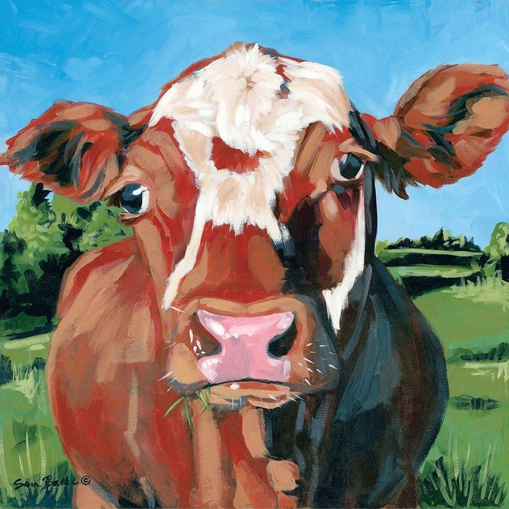 Henry the Hereford Poster Print by Sara Baker Image 1