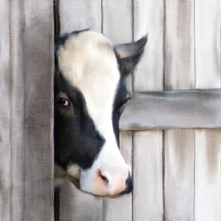 Peeking Cow Poster Print by Ann Bailey BASQ062 Image 1