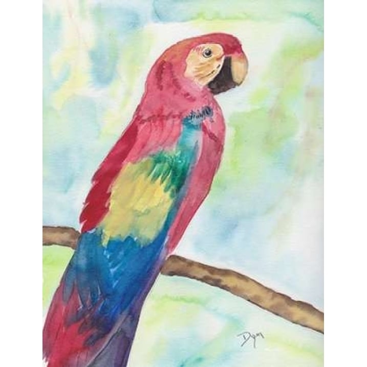 Tropical Perch II Poster Print by Beverly Dyer Image 1