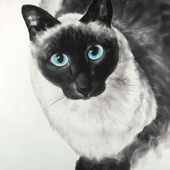 Blue Eyes Siamese Cat Poster Print by Atelier B Art Studio Image 1