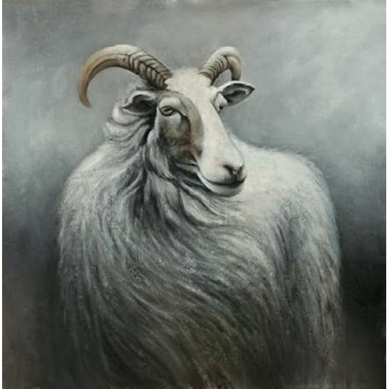 Cashmere Goat Poster Print by Atelier B Art Studio Image 1