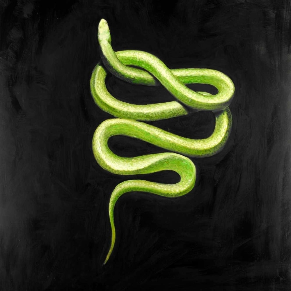 Green Snake Poster Print by Atelier B Art Studio Image 2