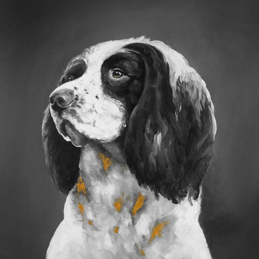 English Springer Spaniel Dog Poster Print by Atelier B Art Studio Image 1