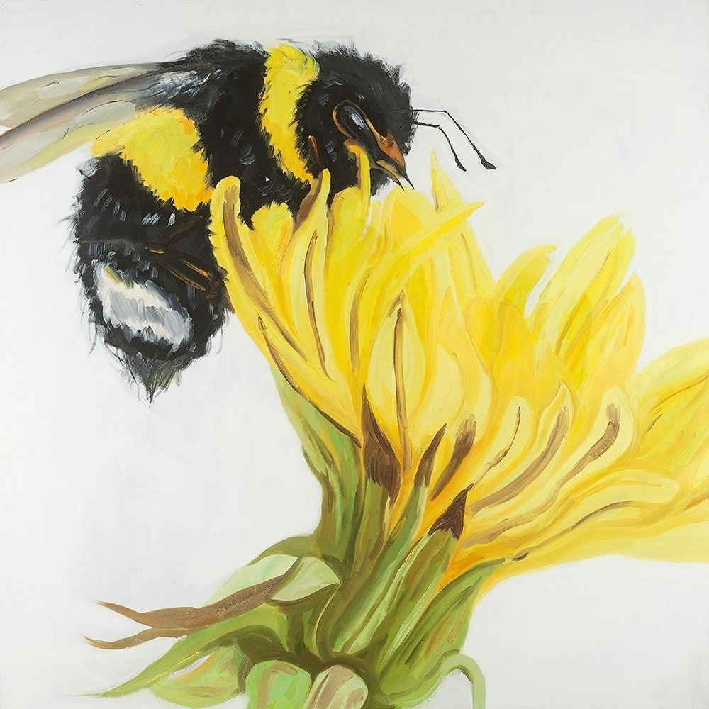 Bumblebee On A Dandelion Poster Print by Atelier B Art Studio Image 1