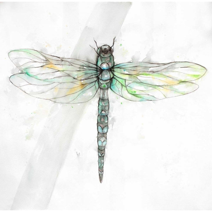 Dragonfly Poster Print by Atelier B Art Studio Image 1