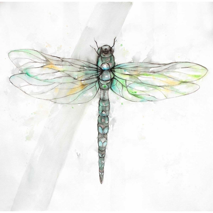 Dragonfly Poster Print by Atelier B Art Studio Image 1