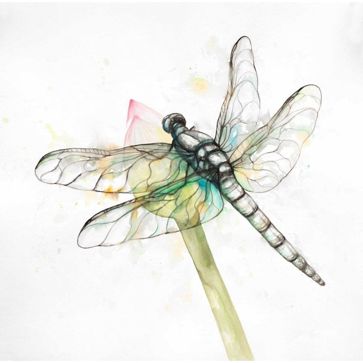 Dragonfly on a Flower Bud Poster Print by Atelier B Art Studio Image 1