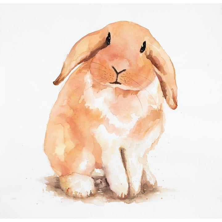 Fuzzy Lop Rabbit Poster Print by Atelier B Art Studio Image 1