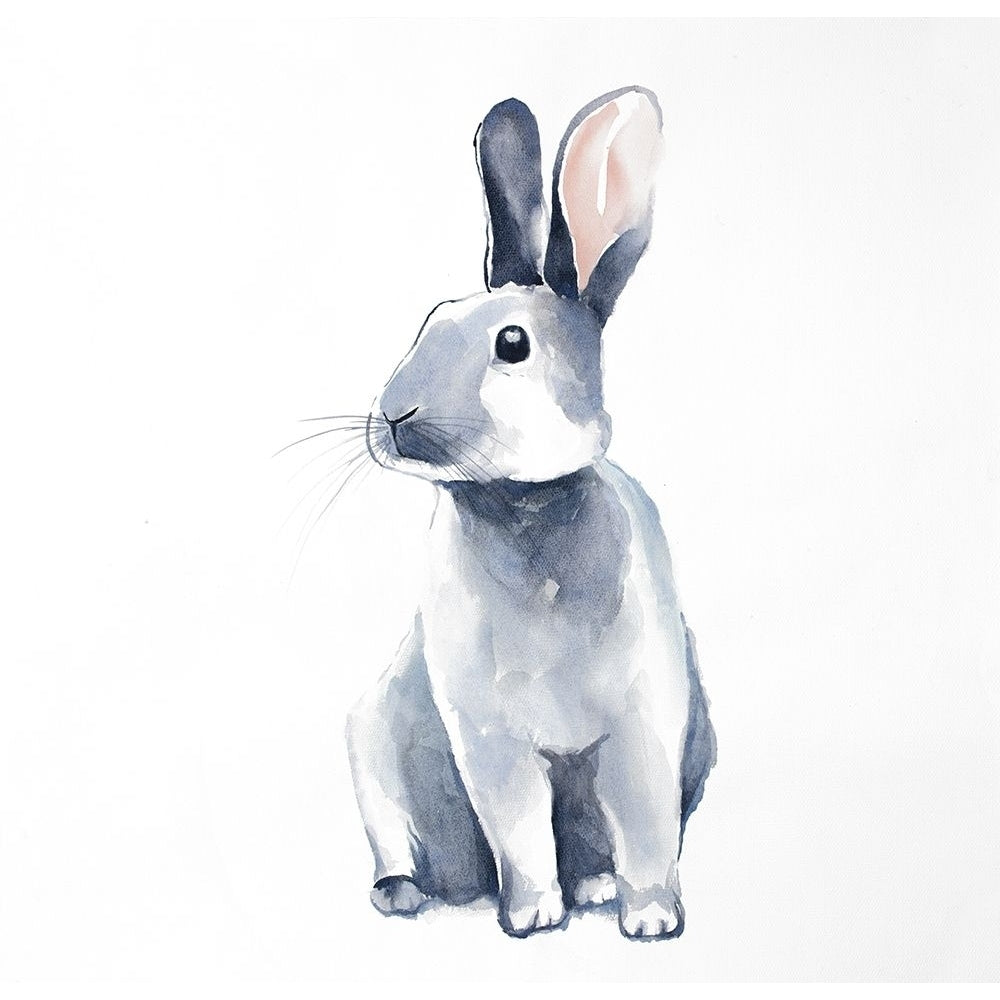 Curious Rex Rabbit Poster Print by Atelier B Art Studio Image 1