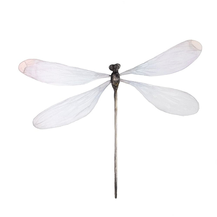 MINIMALIST DRAGONFLY Poster Print by Atelier B Art Studio Image 1