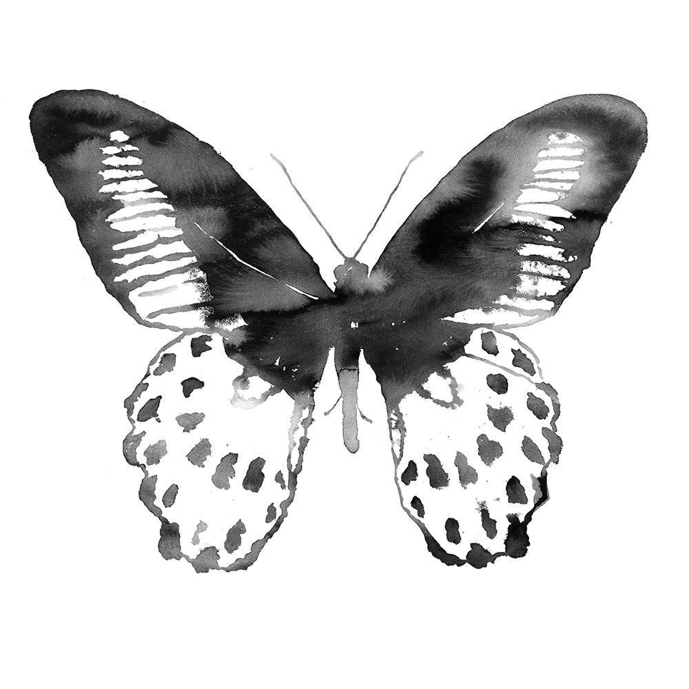 BLACK BUTTERFLY Poster Print by Atelier B Art Studio Image 1