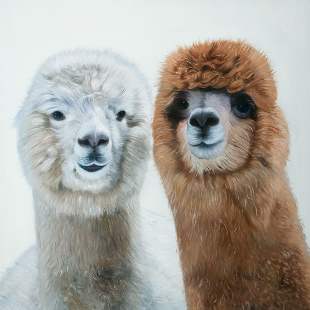 TWO LAMAS Poster Print by Atelier B Art Studio Image 1