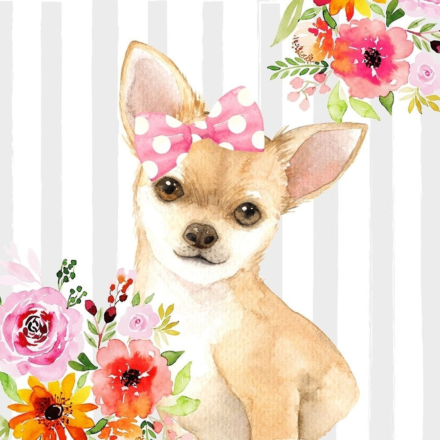 CHIHUAHUA DOG Poster Print by Atelier B Art Studio Image 1