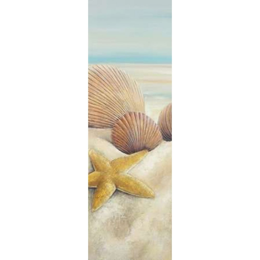 Starfish and Seashells View on the Beach Poster Print by Atelier B Art Studio Image 1