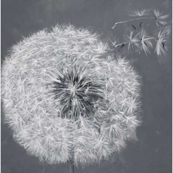 Blowing Dandelion Poster Print by Atelier B Art Studio Image 1