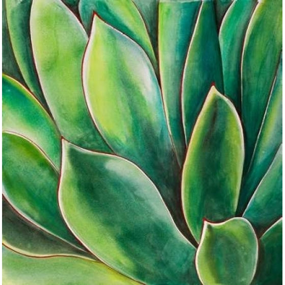 Watercolor Agave Plant Poster Print by Atelier B Art Studio Image 1