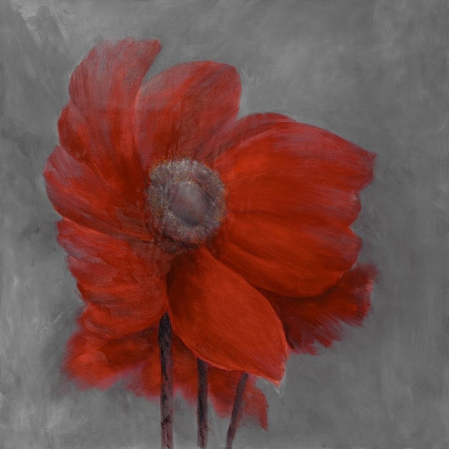 RED FLOWER IN THE WIND Poster Print by Atelier B Art Studio Image 1