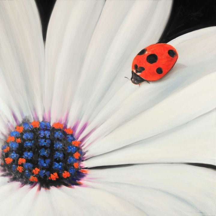 White Daisy and Ladybug Poster Print by Atelier B Art Studio Image 1