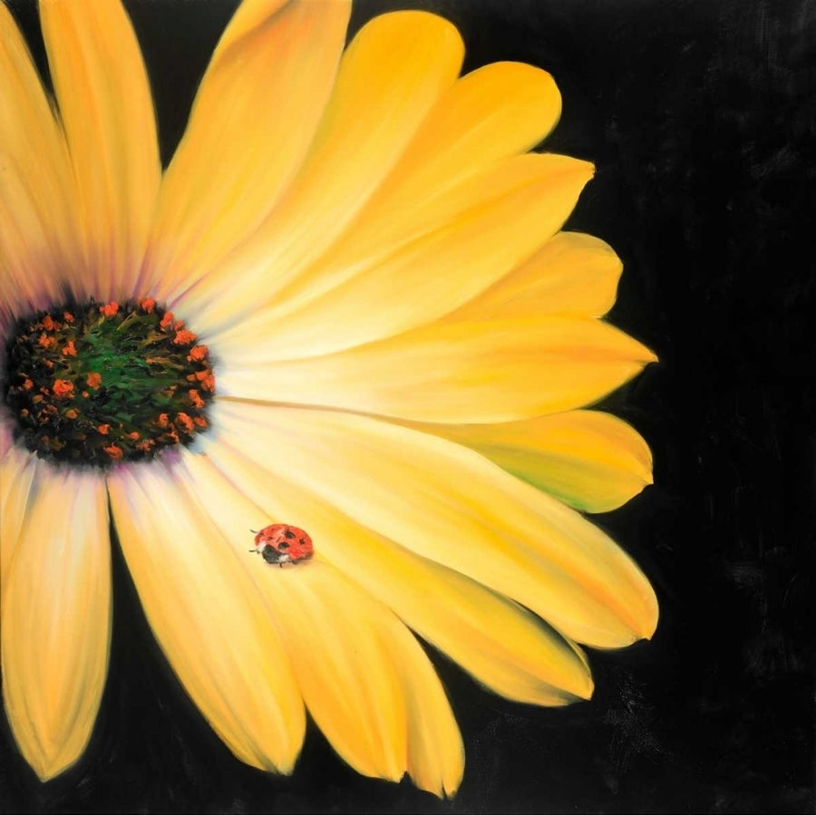 Yellow Daisy and Ladybug Poster Print by Atelier B Art Studio Image 1